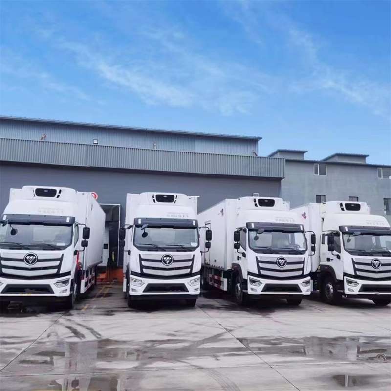 杂多县新龙县进仓物流：多元专线直达运输探秘